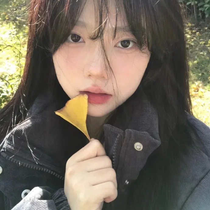 左岸